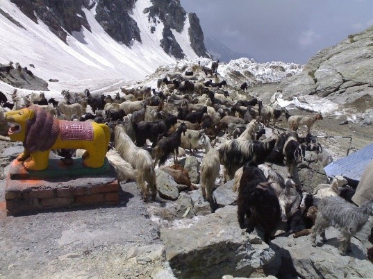 Motorcycle Touring Through Sach Pass