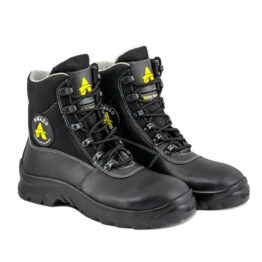 Picus LACE